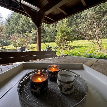 Charming Villa On The Forest In Wald 12 Guests Hugh Garden Willingen Sauerland Brilon Exterior photo