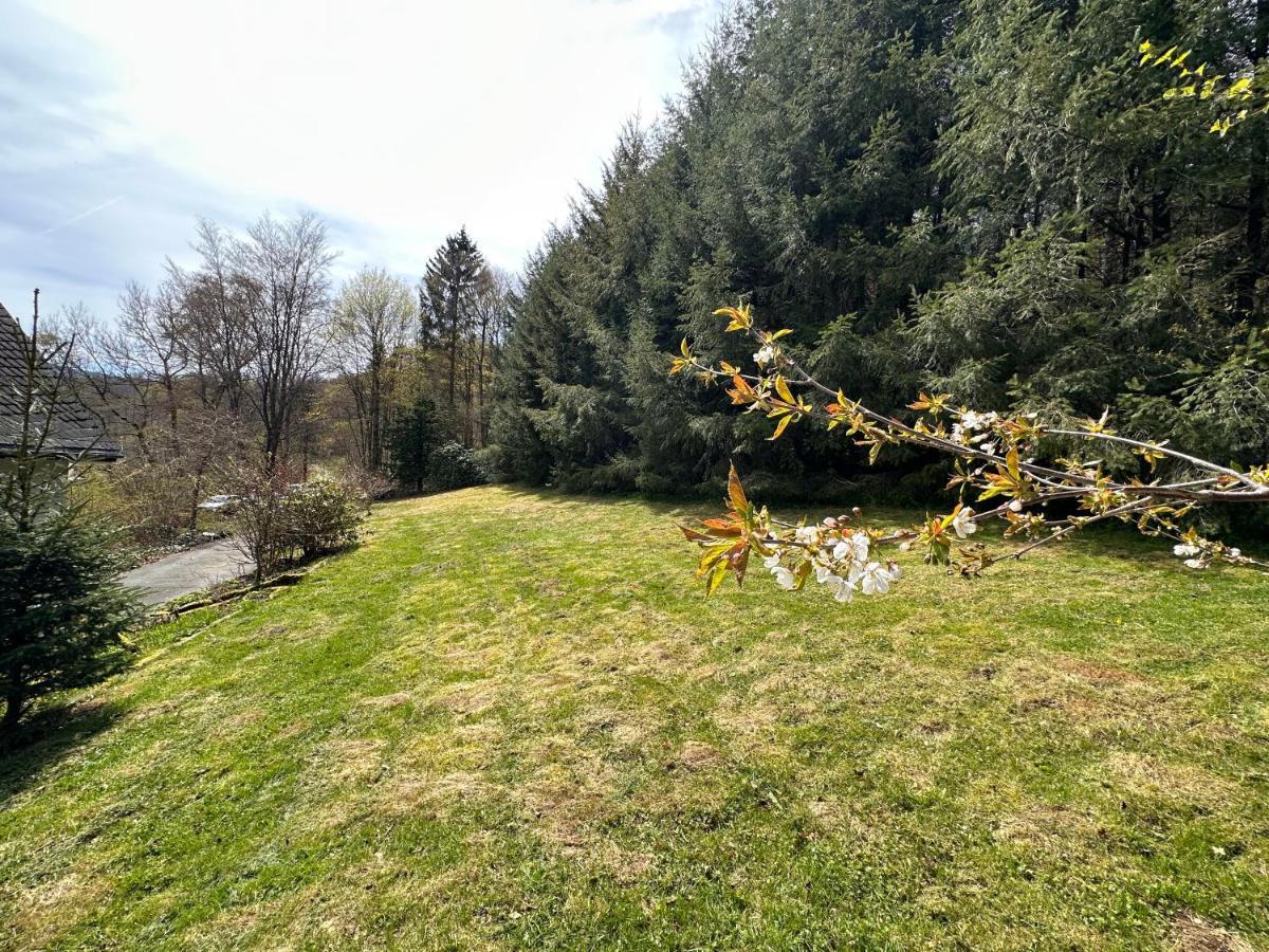 Charming Villa On The Forest In Wald 12 Guests Hugh Garden Willingen Sauerland Brilon Exterior photo