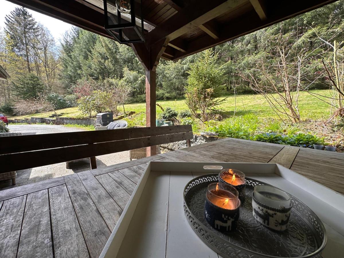 Charming Villa On The Forest In Wald 12 Guests Hugh Garden Willingen Sauerland Brilon Exterior photo
