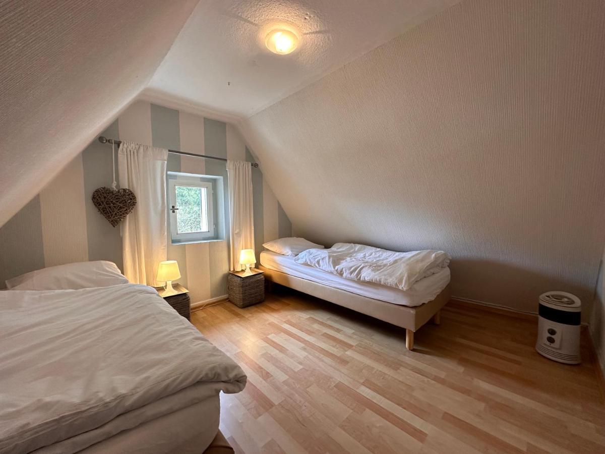 Charming Villa On The Forest In Wald 12 Guests Hugh Garden Willingen Sauerland Brilon Exterior photo